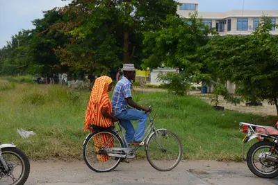 DSC_8794 (Large).JPG